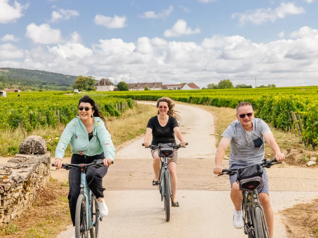 Balade à vélo dans les vignes sur la Route des Grands Crus de Bourgogne