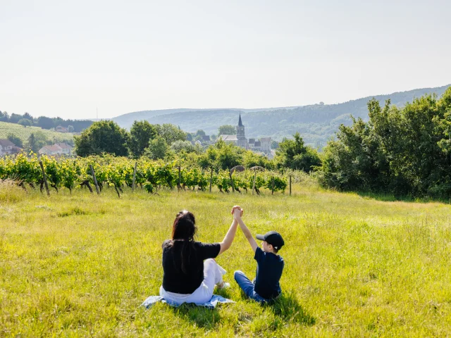 Balade en Hautes Côtes de Nuits en Côte-d'Or