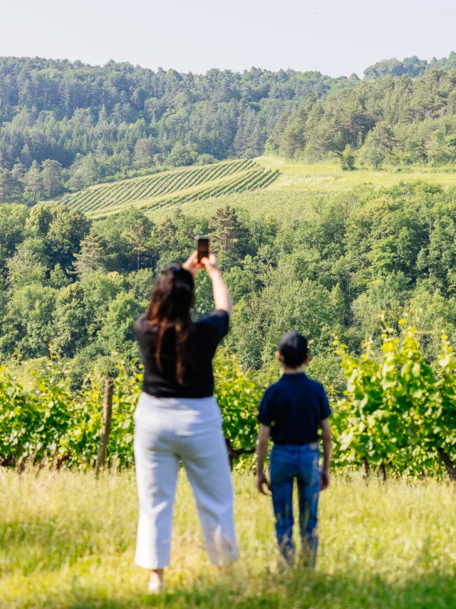 Balade en Hautes Côtes de Nuits en Côte-d'Or
