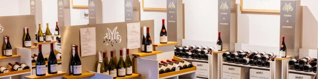 Château de Marsannay