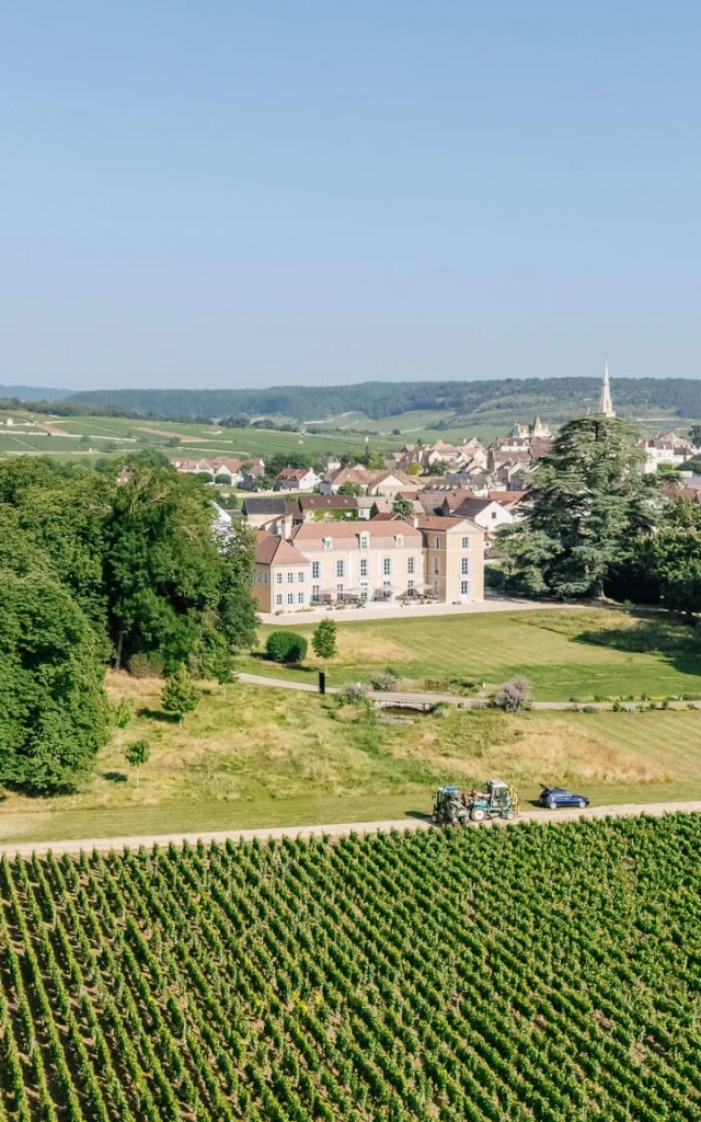 Chateau De Meursault - Route des Grands Crus de Bourgogne