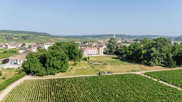 Chateau De Meursault - Route des Grands Crus de Bourgogne