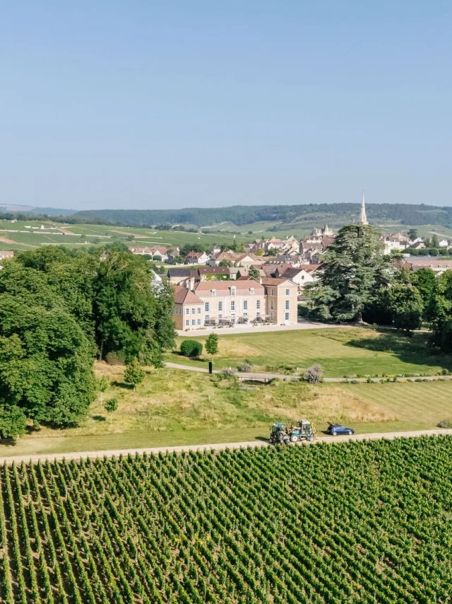 Chateau De Meursault - Route des Grands Crus de Bourgogne