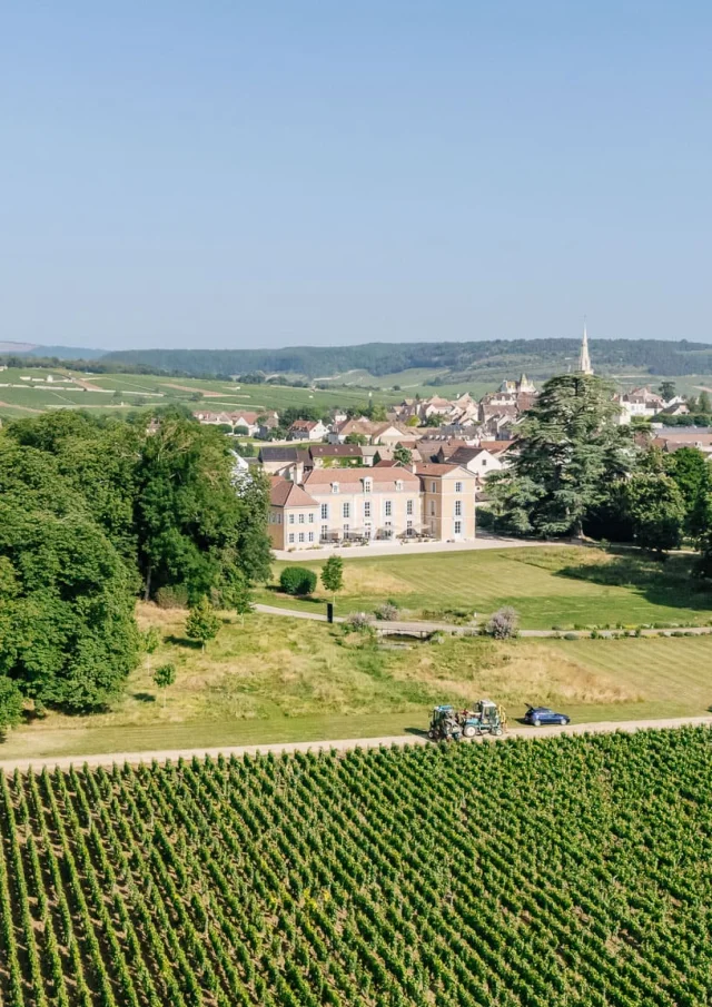 Chateau De Meursault - Route des Grands Crus de Bourgogne