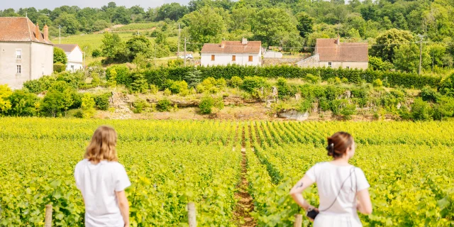 Château De Saint Aubin - Route des Grands Crus de Bourgogne