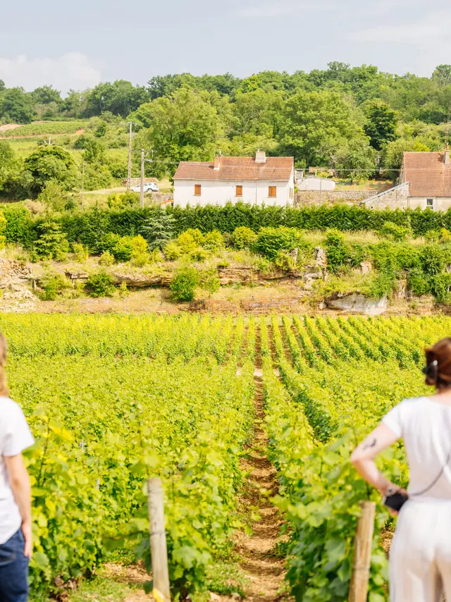 Château De Saint Aubin - Route des Grands Crus de Bourgogne