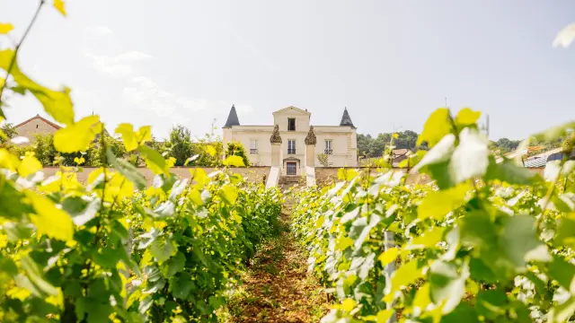 Château De Saint Aubin - Route des Grands Crus de Bourgogne