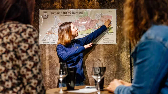 Domaine Rion - Route des Grands Crus de Bourgogne