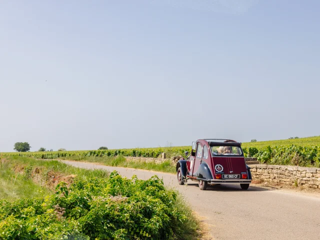 Excursion 2CV sur la Route des Grands Crus de Bourgogne. French Tour