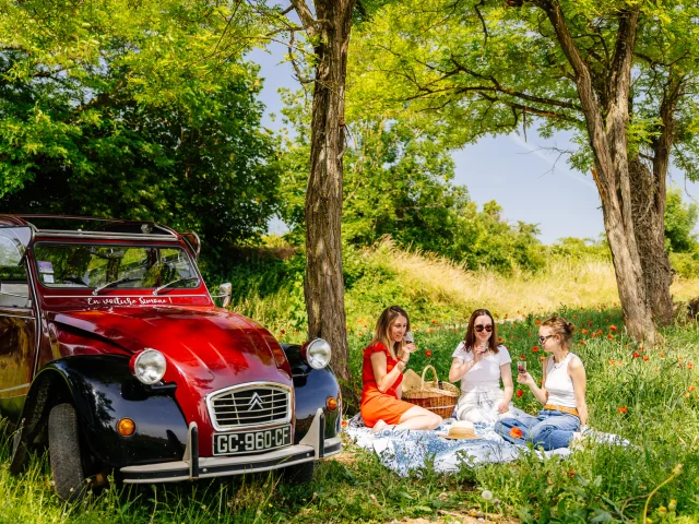 Excursion en 2CV dans les vignes en Côte-d'Or