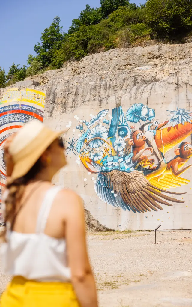 La Karrière à Villars-Fontaine