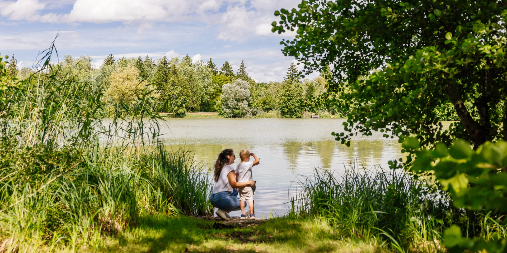Les Étangs d'Or de Merceuil-Tailly