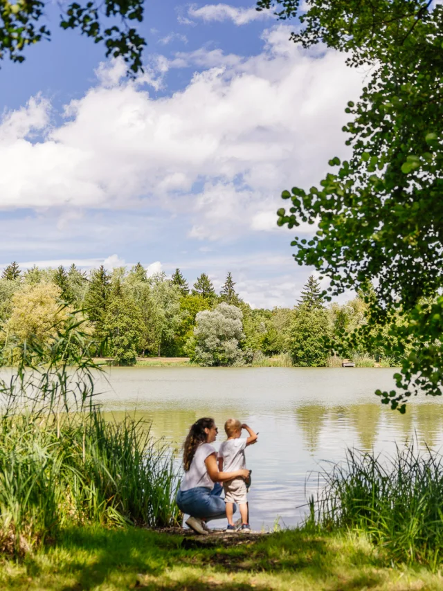 Les Étangs d'Or de Merceuil-Tailly