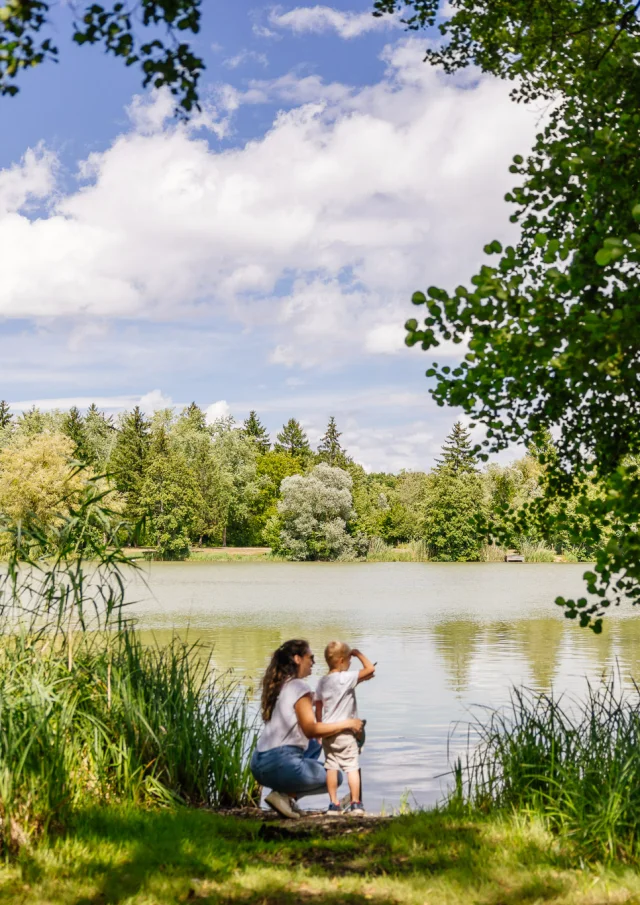 Les Étangs d'Or de Merceuil-Tailly
