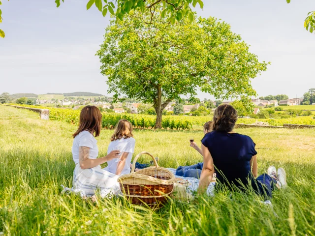 Pique-nique sur la Route des Grands Crus de Bourgogne