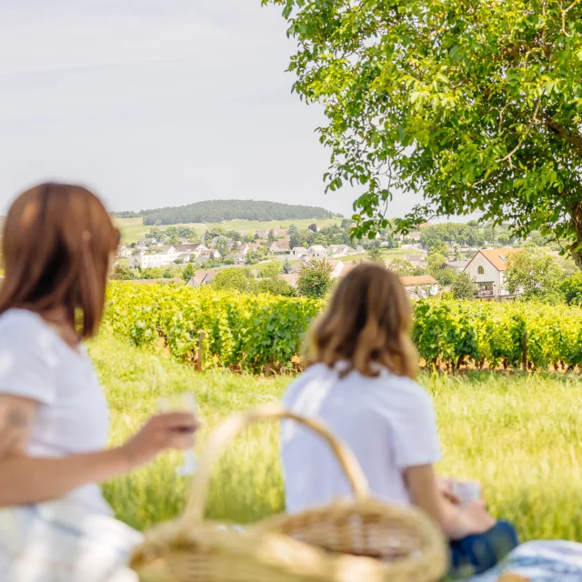 Pique-nique sur la Route des Grands Crus de Bourgogne
