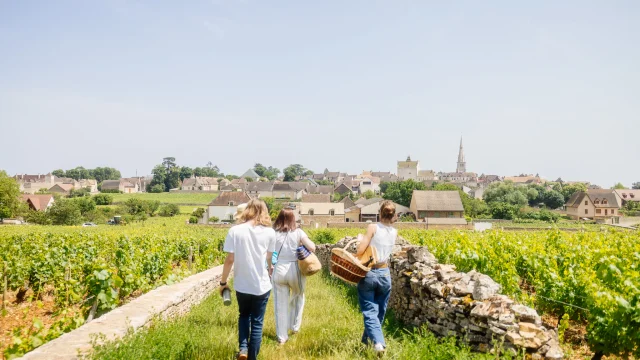 Pique-nique sur la Route des Grands Crus de Bourgogne