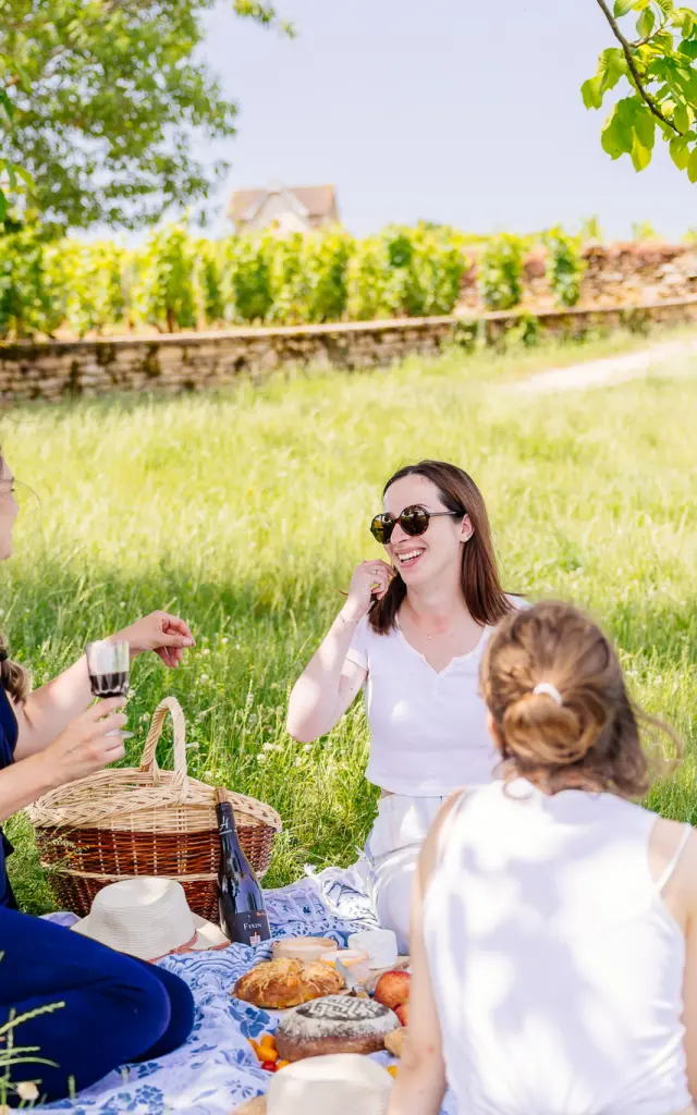 Pique-nique sur la Route des Grands Crus de Bourgogne