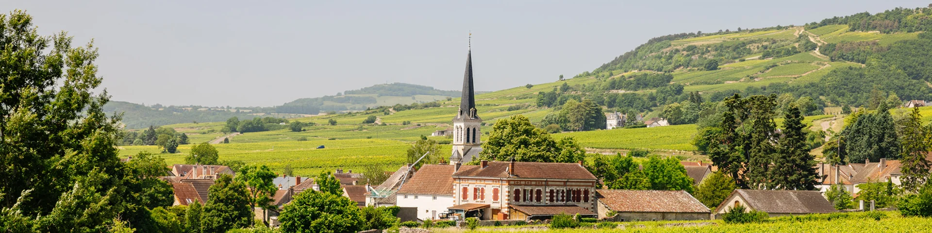 Balade à Santenay
