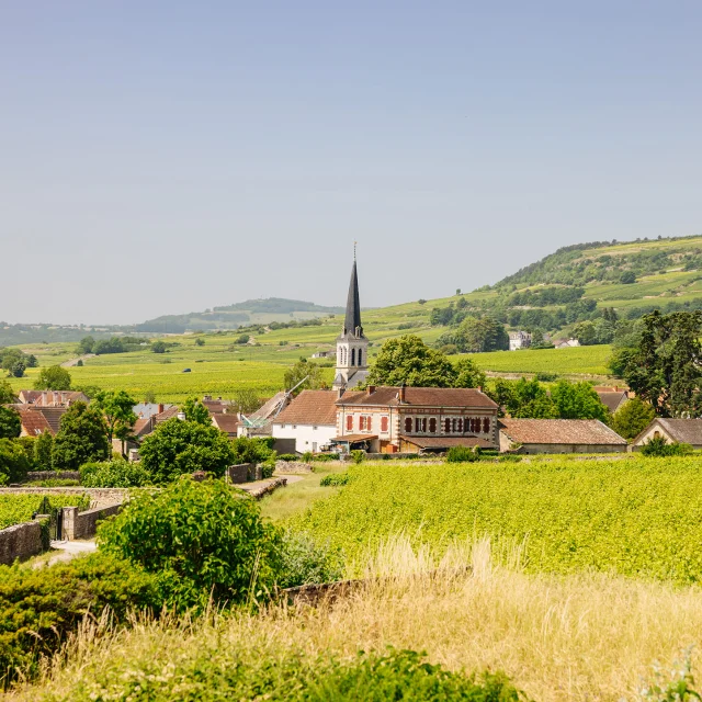 Balade à Santenay
