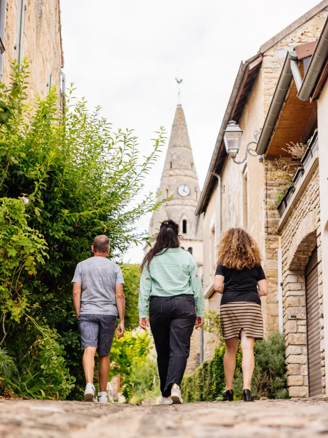 Savigny Les Beaune - Route des Grands Crus de Bourgogne
