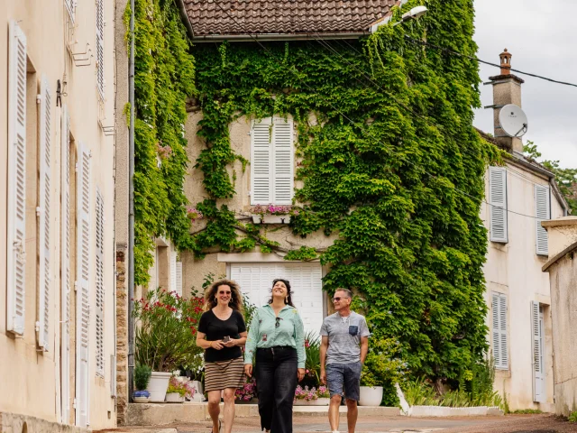 Savigny Les Beaune - Route des Grands Crus de Bourgogne