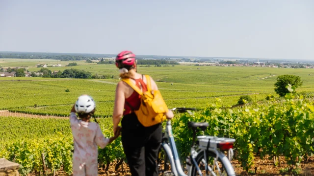 Vélo sur la Voie des Vignes en Côte-d'Or