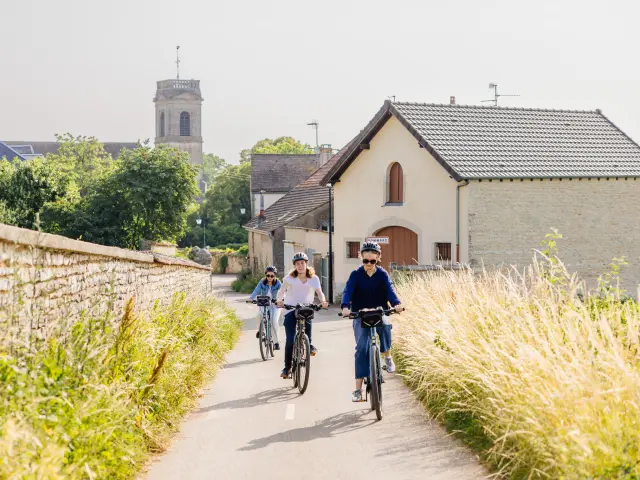 Balade à vélo à Pommard