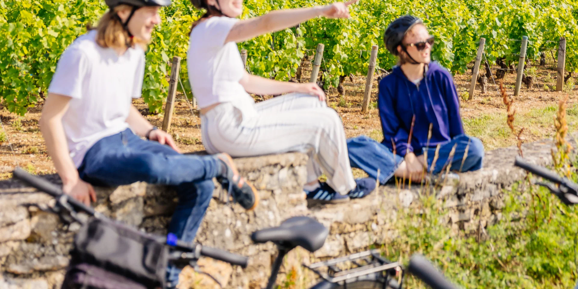 Vélo sur la Voie des Vignes en Côte-d'Or