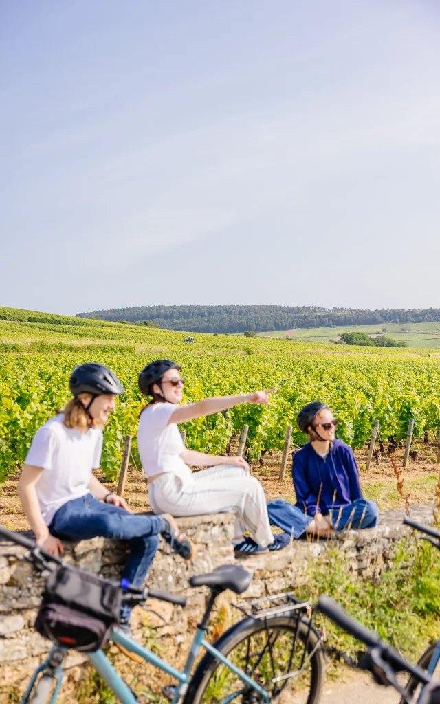 Vélo sur la Voie des Vignes en Côte-d'Or