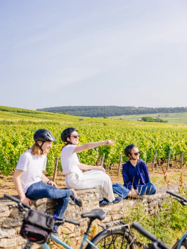 Vélo sur la Voie des Vignes en Côte-d'Or