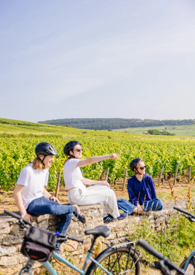 Vélo sur la Voie des Vignes en Côte-d'Or