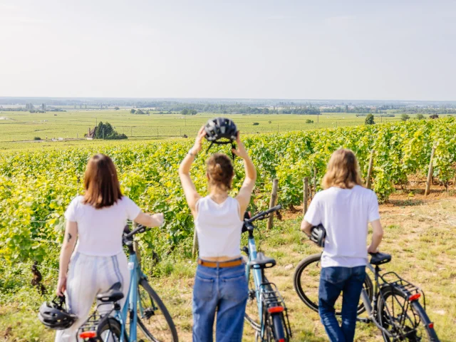 Voie des Vignes à vélo