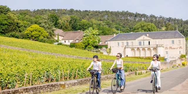 Voie Des Vignes à vélo