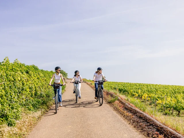 Vélo sur la Voie des Vignes en Côte-d'Or