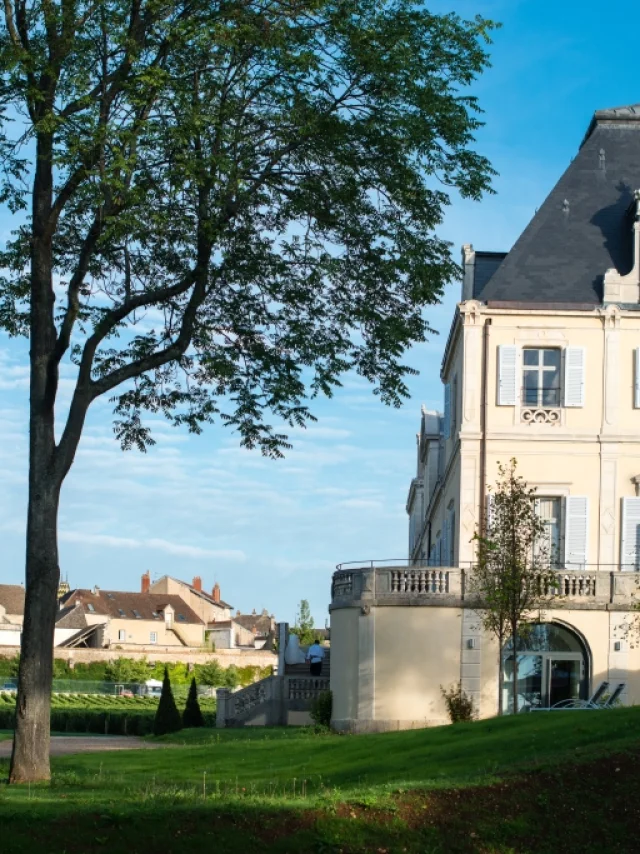 La Cueillette - Meursault