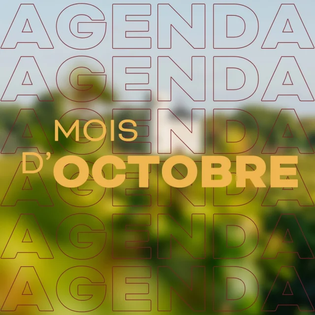 Instagram #routedesgrandscrusdebourgogne