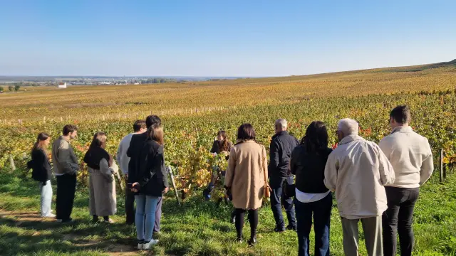 Vignobles en Scènes - Chambolle-Musigny
