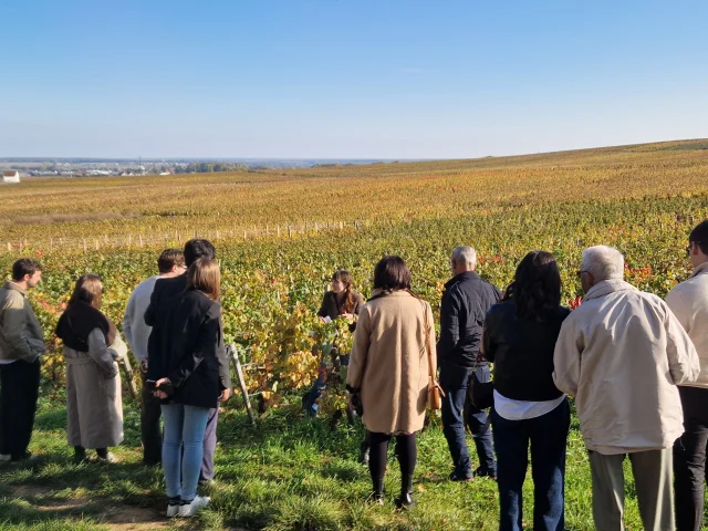 Vignobles en Scènes - Chambolle-Musigny