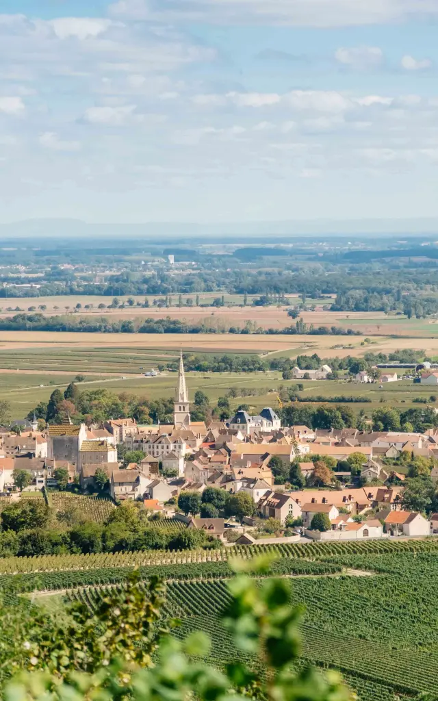Ville de Meursault