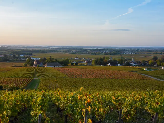 Village de Pernand-Vergelesses