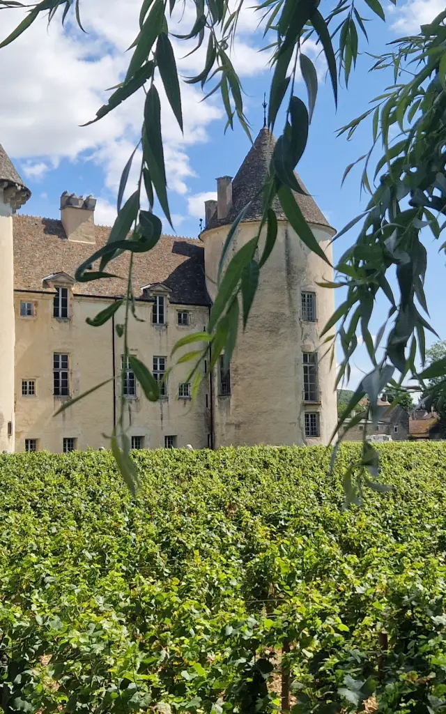 Château de Savigny-Les-Beaune