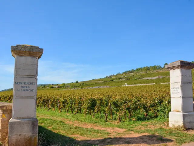 Puligny-Montrachet