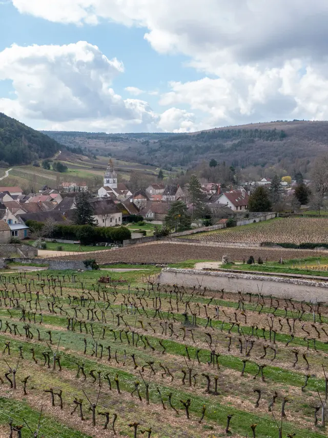 Auxey-Duresses en hiver