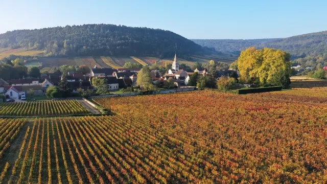 Auxey-Duresses en automne