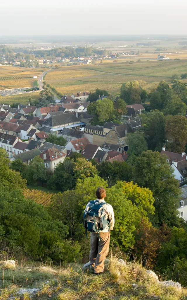 Walking in Chambolle-Musigny