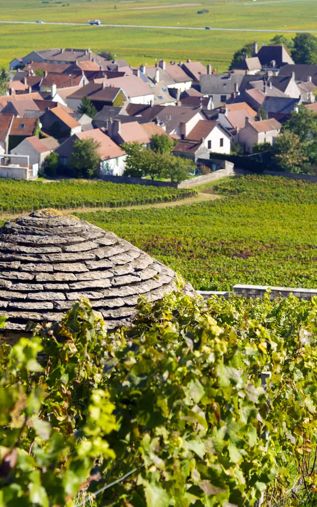 Cabotte au cœur du vignoble à Morey-Saint-Denis