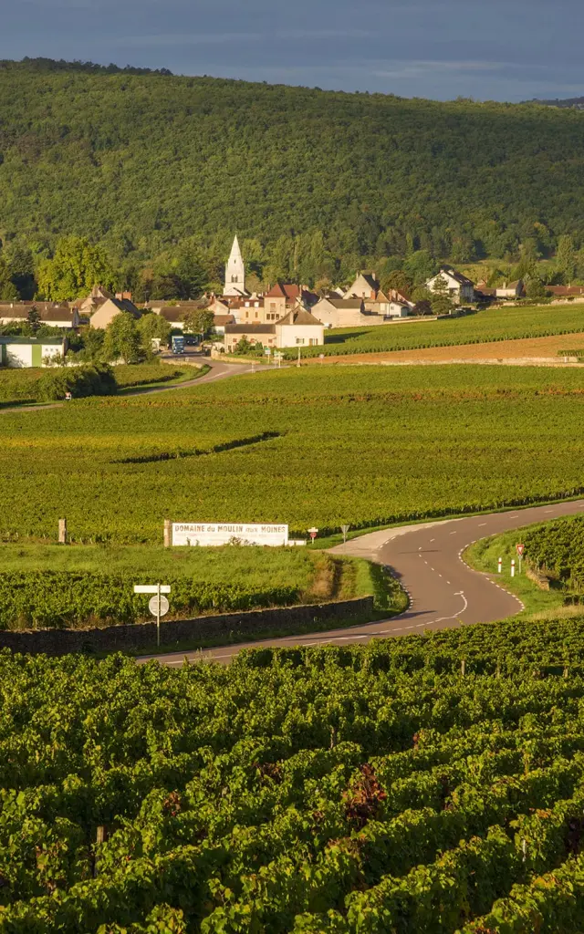Vignobles à Auxey-Duresses