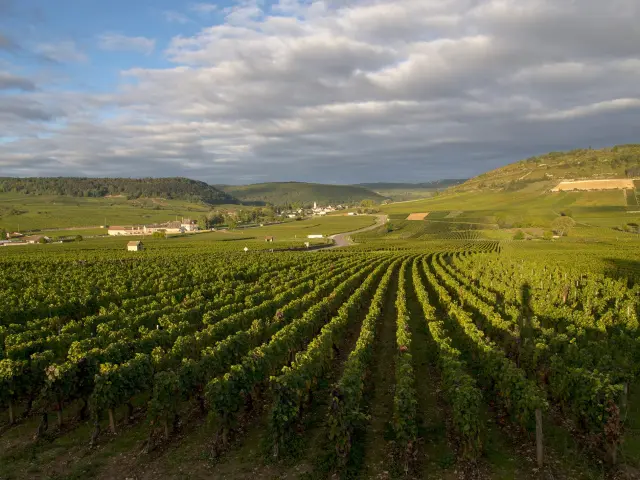 Vignobles à Auxey-Duresses