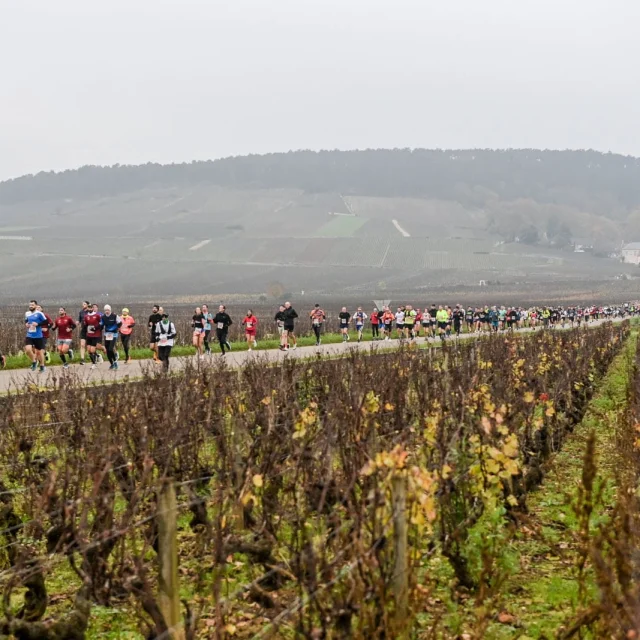 Semi-marathon de la vente des vins de Beaune